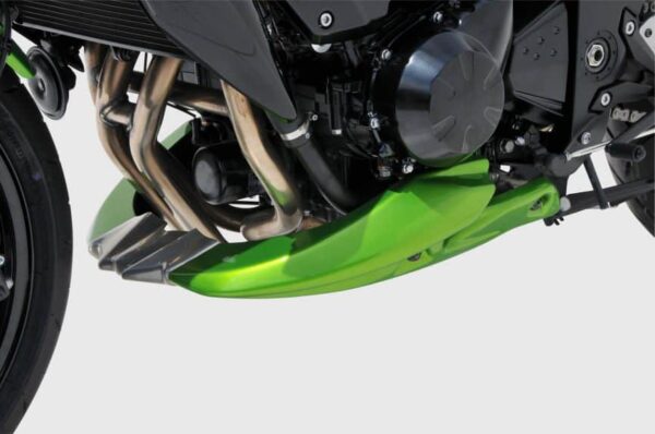 ERMAX EVO kryt motora Kawasaki Z750 2007/12 - Image 3